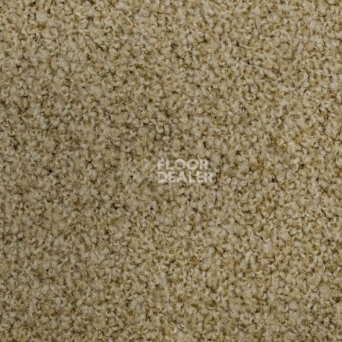 Ковролин Vorwerk Exclusive1009/Elara 8g82 фото 1 | FLOORDEALER